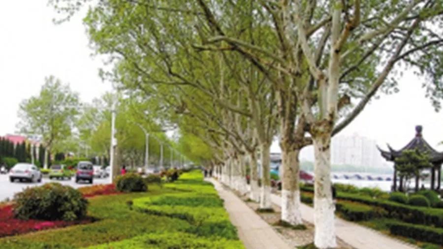 地名大会题目,地名大会湖北版图