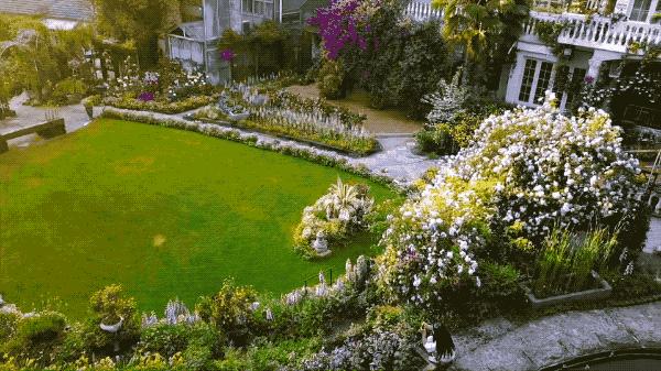 一个安徽爷爷，花1万块种出5000㎡私家花园，被评为中国最美