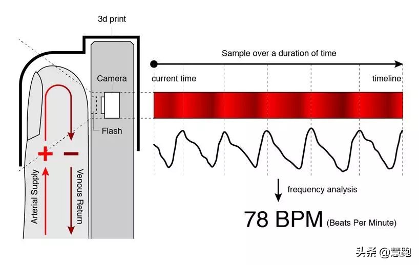 运动手表怎么佩戴测量心率才准确,心率手表到底准不准