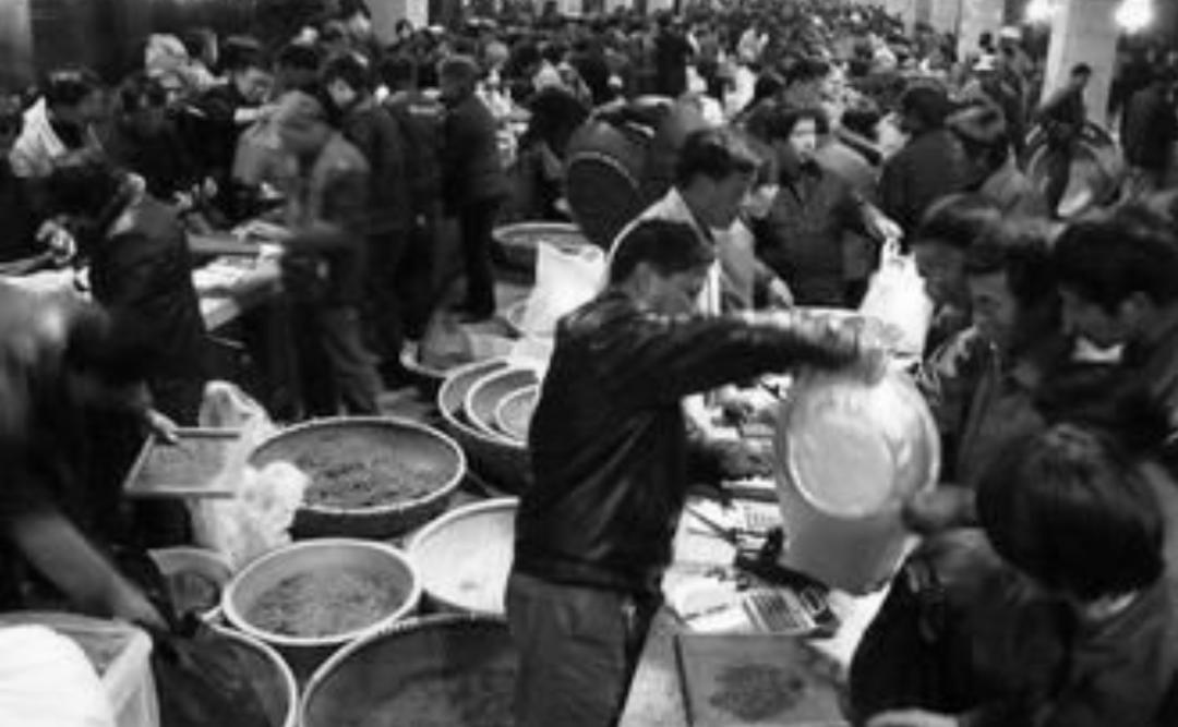 探讨一下普洱茶行业的过剩与稀缺,茶行业产品过剩