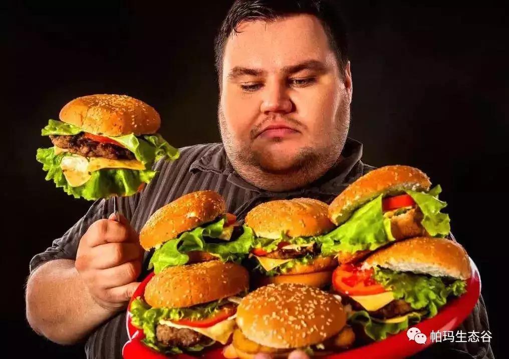 帕玛谷阿育吠陀基地,帕玛生态谷是什么