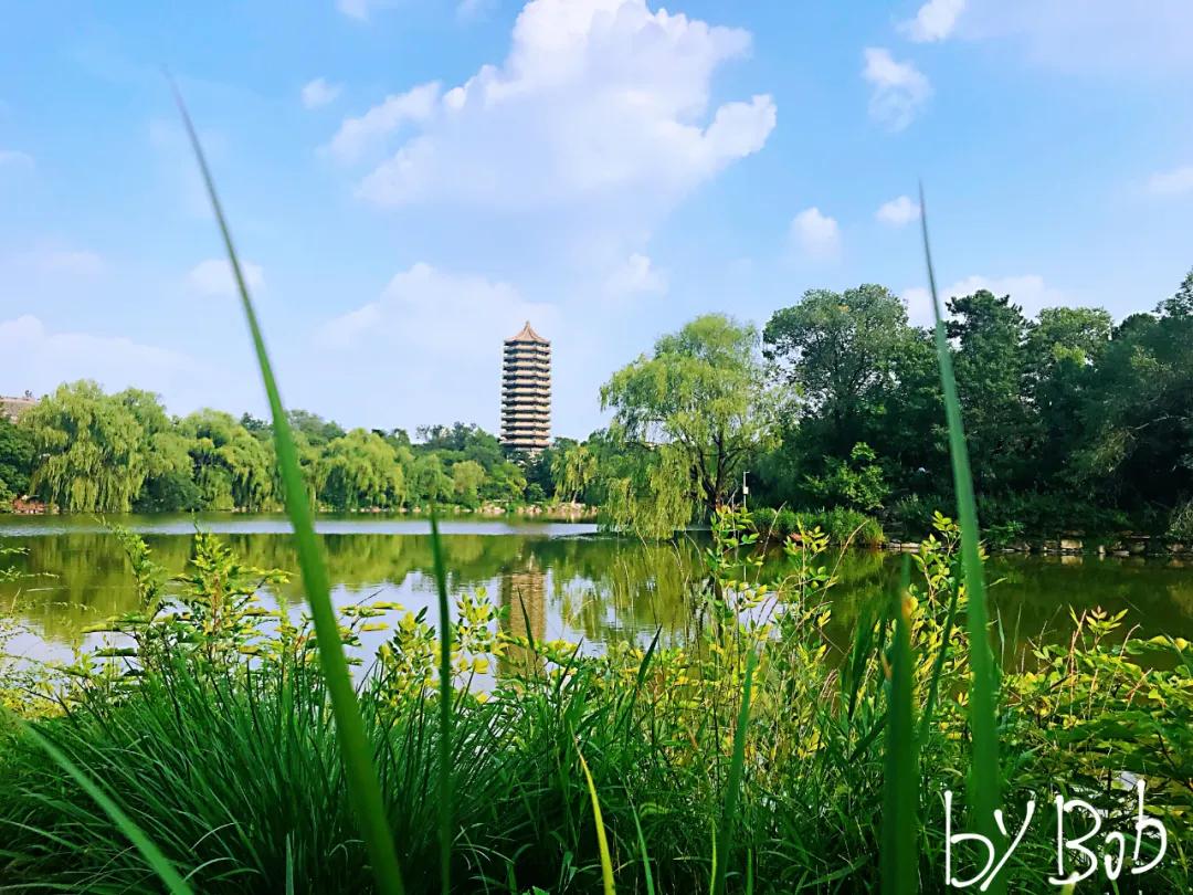 中国风投第一人张磊,沈南鹏张磊阎焱