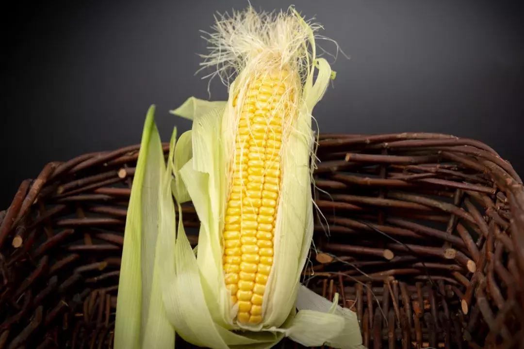 糖尿病喝的减肥降糖茶有哪些,糖尿病人喝啥茶有利于降糖降血压