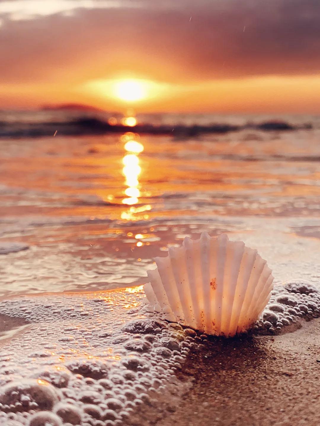 iPhone相机操作技巧,iphone相机操作指南3.0