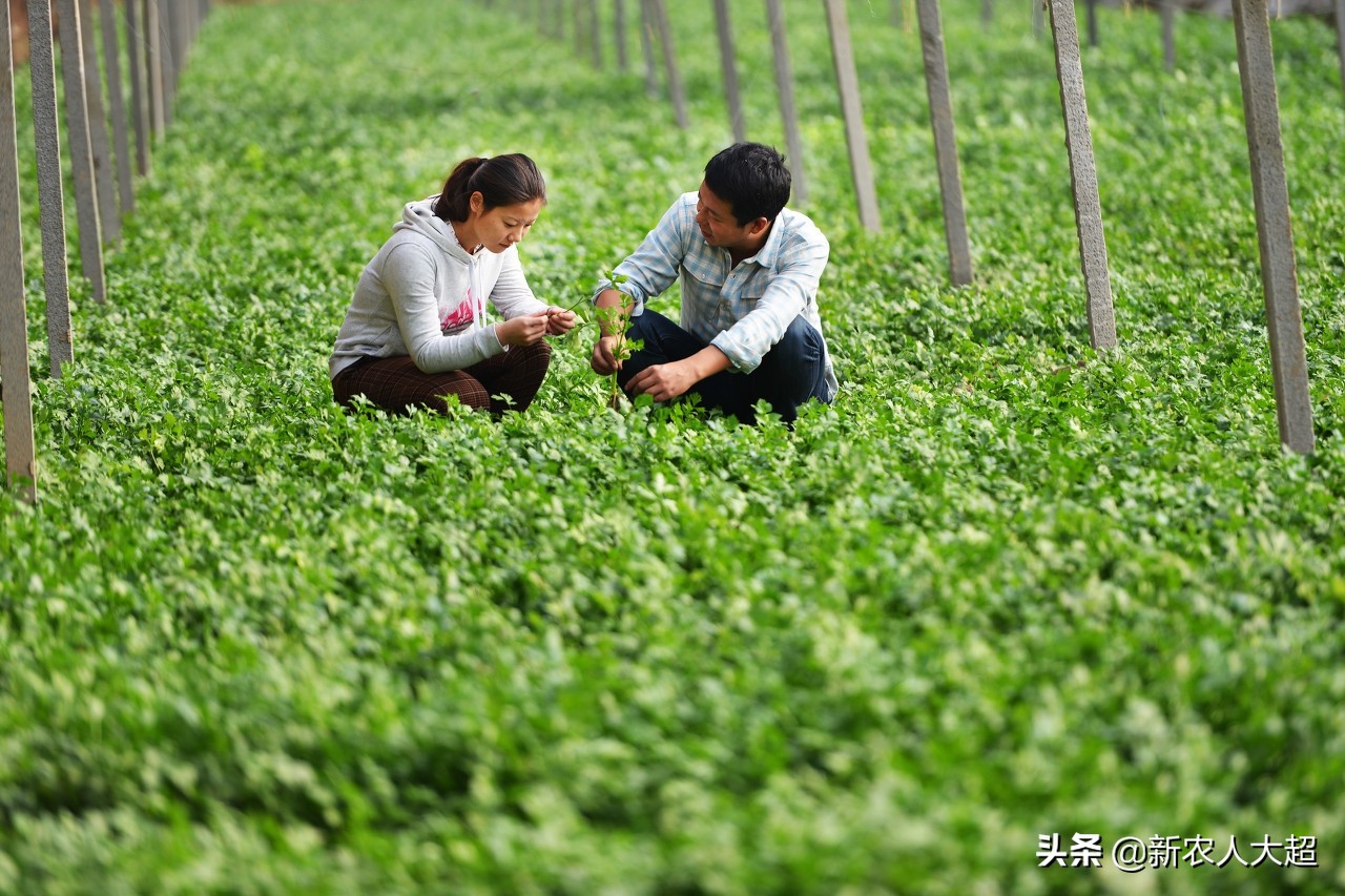 互联网电商创业项目,电商创业项目有哪些