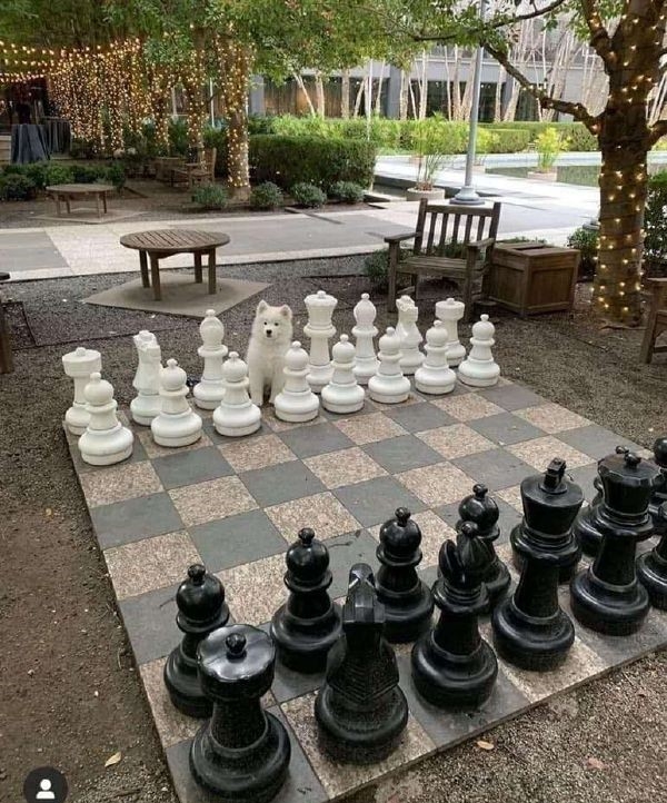 外卖小哥聊天记录可以有多搞笑,点外卖请外卖小哥喝奶茶聊天记录