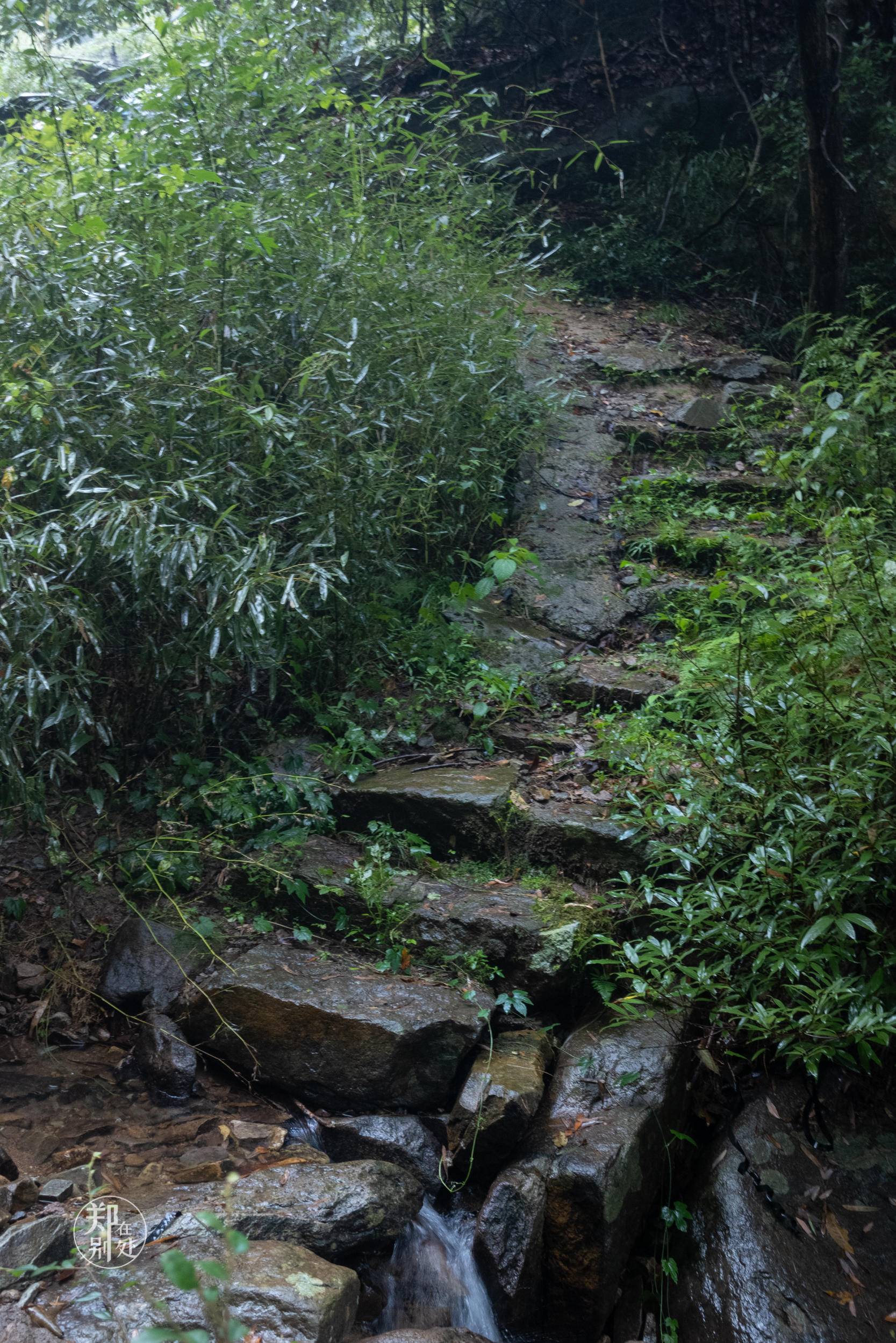 香榧古道,香榧古道徒步路线哪条景色美
