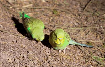 昆明亲子游户外旅行地,昆明周边户外游玩景点推荐带孩子