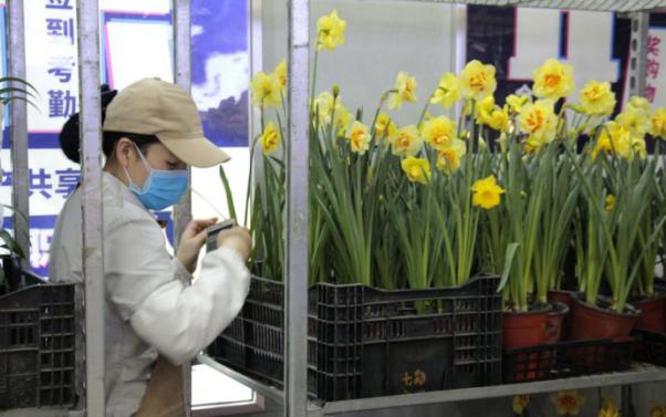 成都市民菜篮子保障充分价格稳定,成都市菜篮子公示