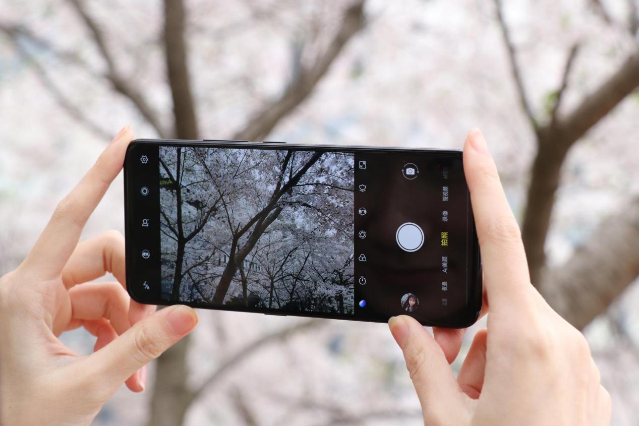 不会拍照怎么使用相机,不会拍教你用云台拍摄技巧