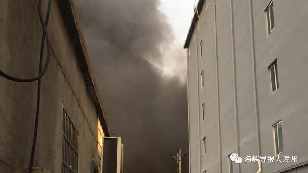 漳州战役新闻,漳州市肺炎疫情最新通报