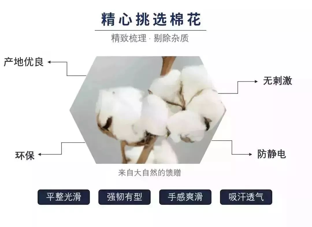 天天穿西服好吗,天天穿爱马仕