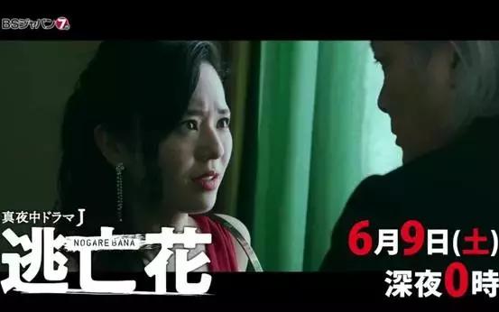 苍井空下架所有成人作品。她依然坦荡过去,同时也从容未来