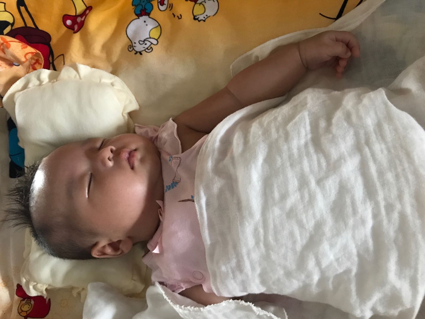 如何辨别胎儿性别——奶爸：太难了