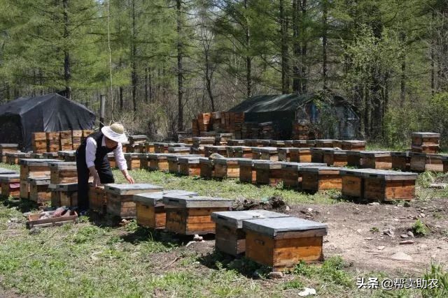 乾隆皇帝宠爱女人,乾隆皇帝独宠如意