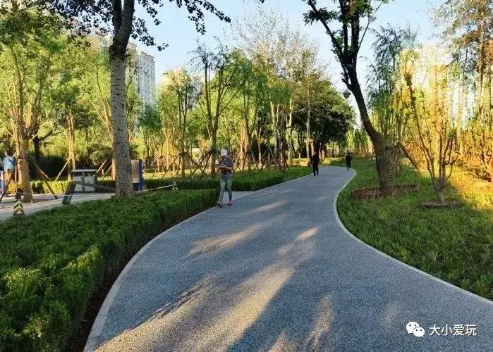 免费公园滑梯,六支沟滑滑梯公园