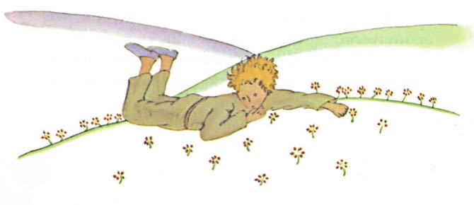 小王子我们是玫瑰片段,小王子我们是玫瑰片段中文版