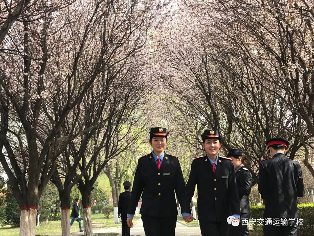 又一铁饭碗将全国招聘,通过社招进铁路待遇怎么样