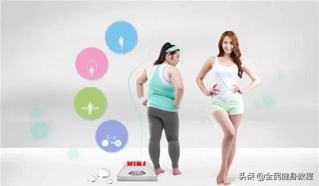 脂肪怎么分解和排出体外不运动,脂肪怎么除