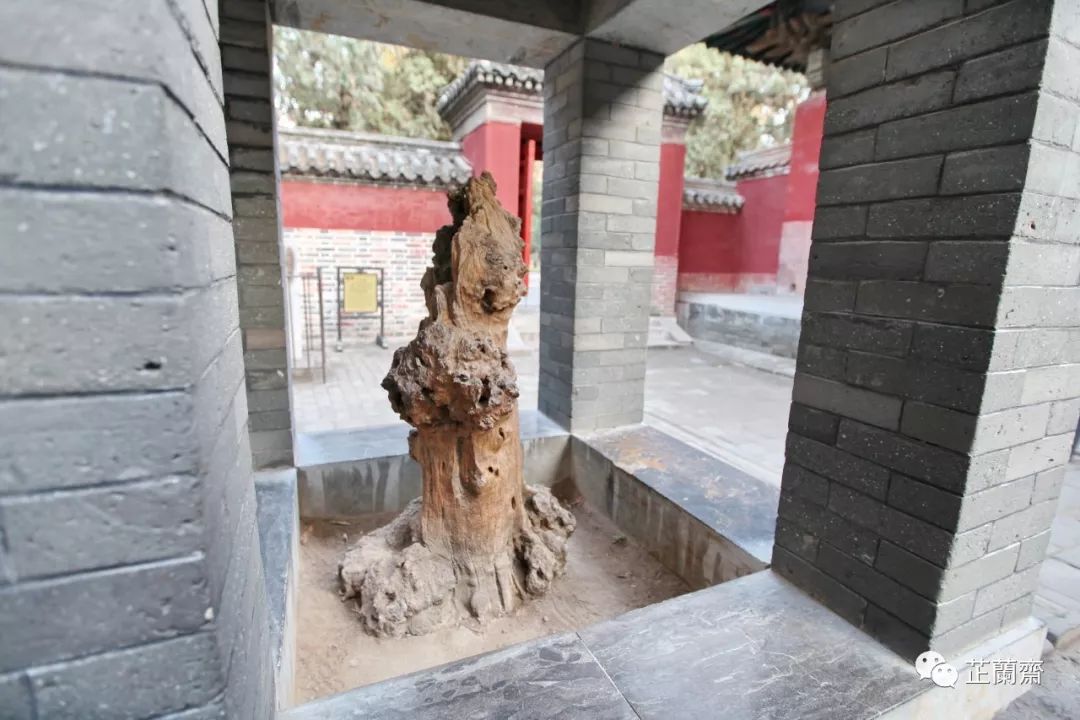 孔林各个时代的墓葬,孔林埋葬孔子家族墓葬多少座