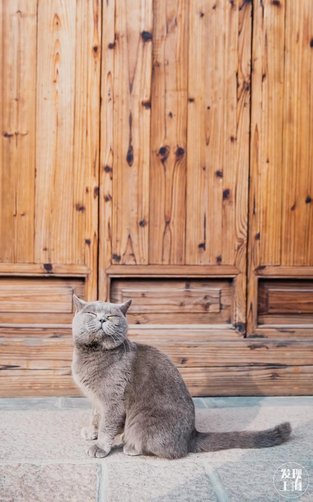 松江千年古镇,松江上海之源