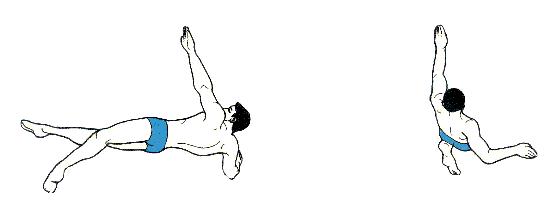 游泳的四种泳姿全学会要多久,游泳必学的四种泳姿你掌握了几种