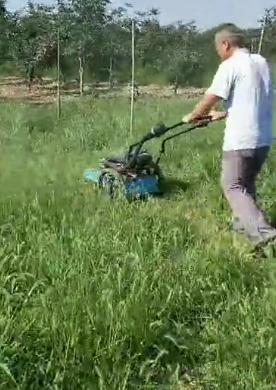 果园割草机哪一款最好,新型果园割草机