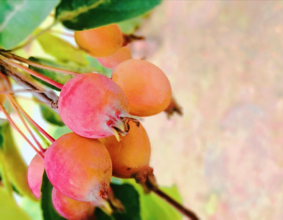 众创网校简介,众创网校官网