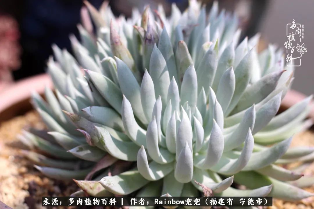 岁月无波澜余生不悲欢是啥意思,愿你岁月无波澜敬我余生无悲欢