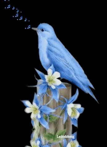 这是我见过最美的风景吗,这是我见过的最美的风景英语