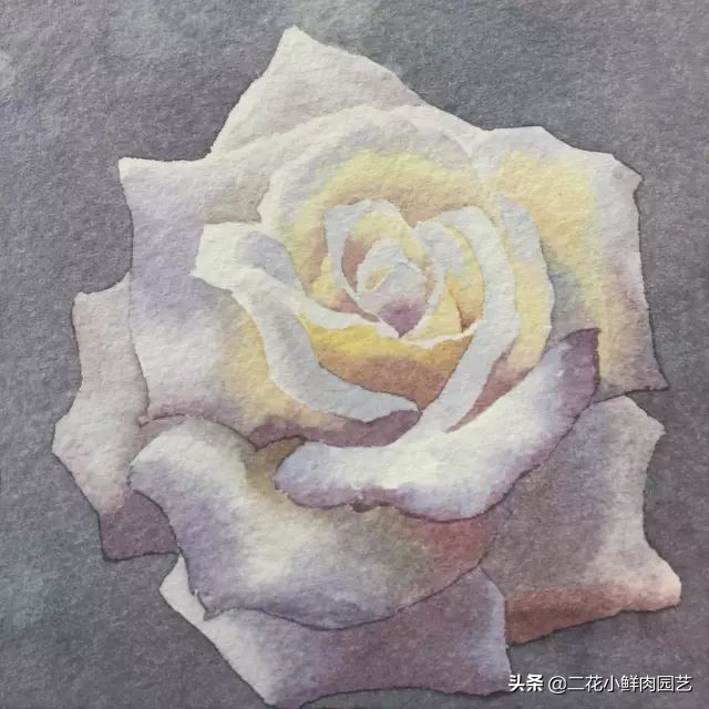 100种花卉绘画,100多张花卉线描手稿素材赶快收藏