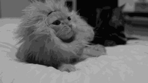 没见识的姑娘，才会花2000块买个mk配饰！