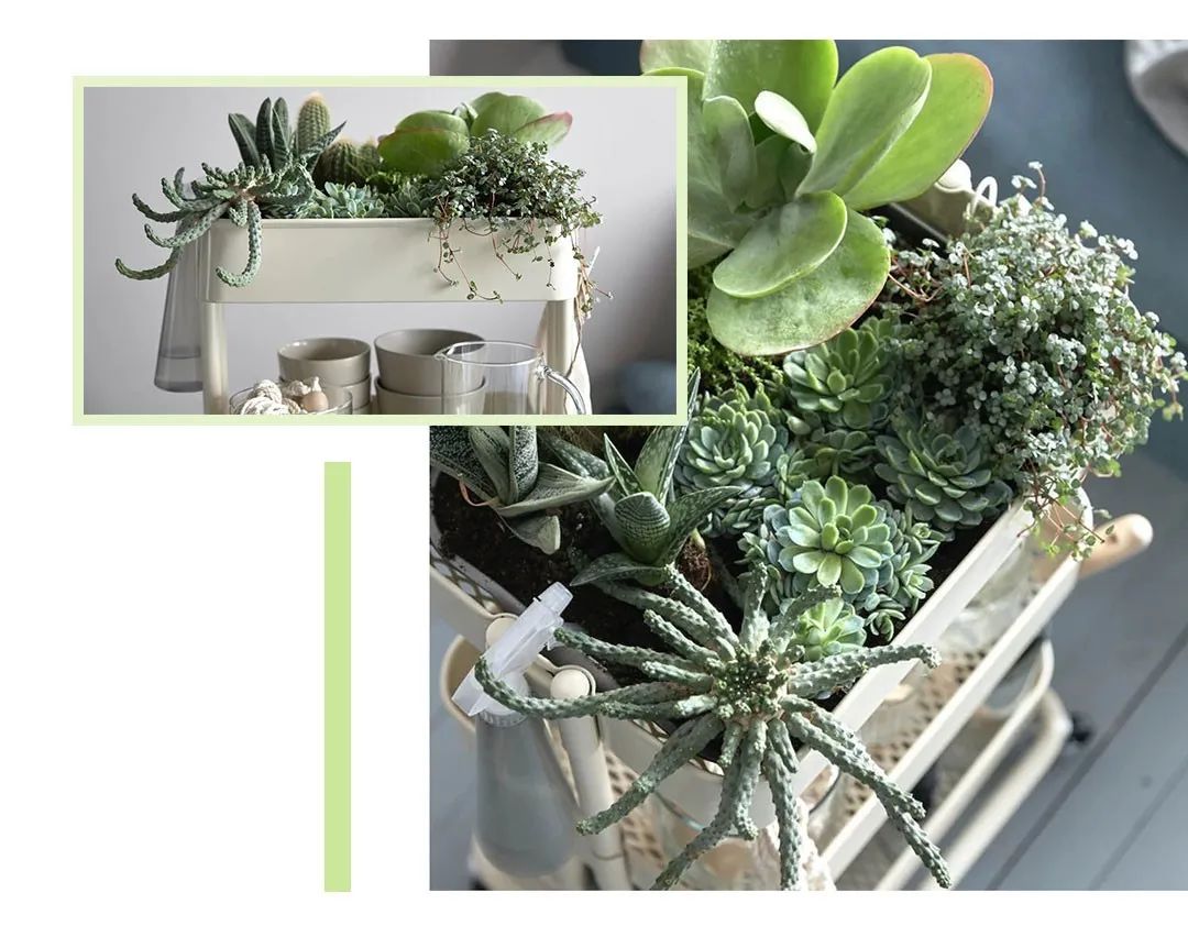 宜家必买好物推荐青岛,青岛宜家最值得买的商品