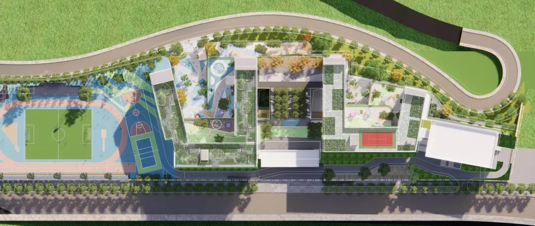 “双减”在两江|金山·云翠小学：关注学生个性发展让教育“智慧”更“至善”