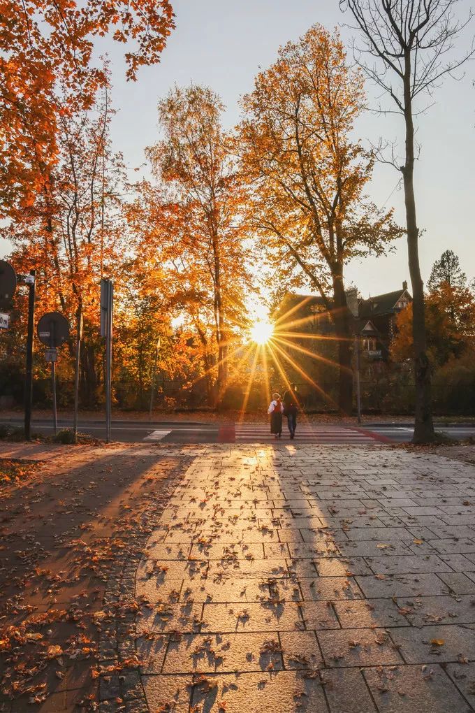 波兰记游记,游记波兰