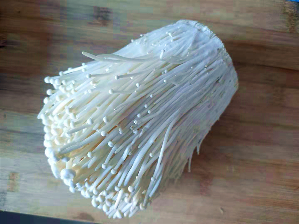 麻辣金针菇家常简单的做法,麻辣金针菇简单做法