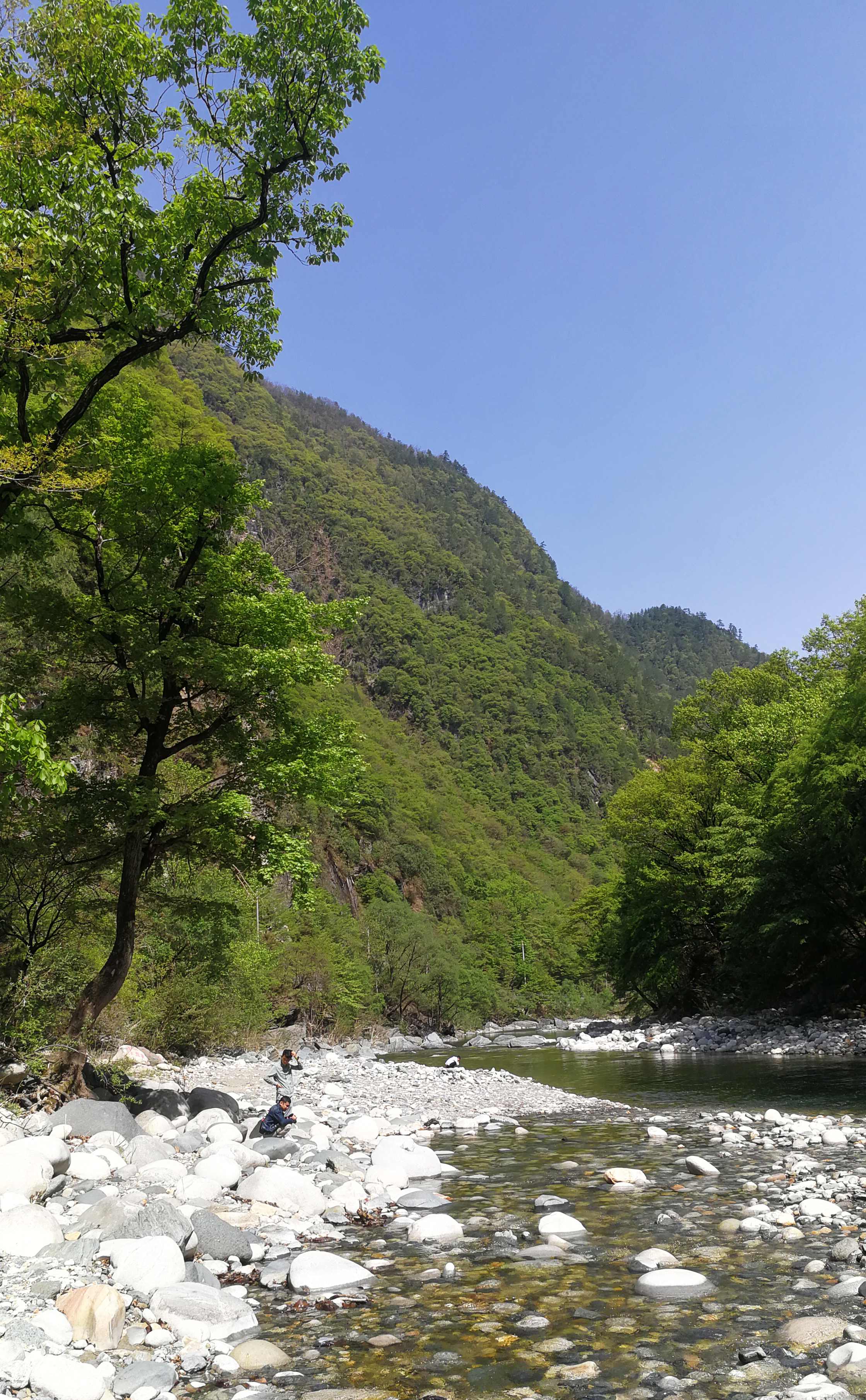 西安周至踏青赏花的路线攻略,周至老县城旅游攻略