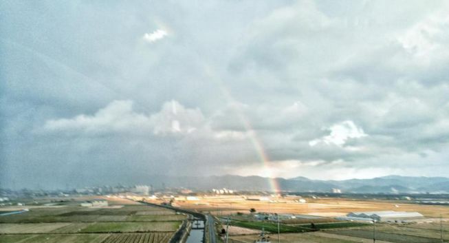 王思聪李易峰综艺节目,王思聪李易峰玩游戏