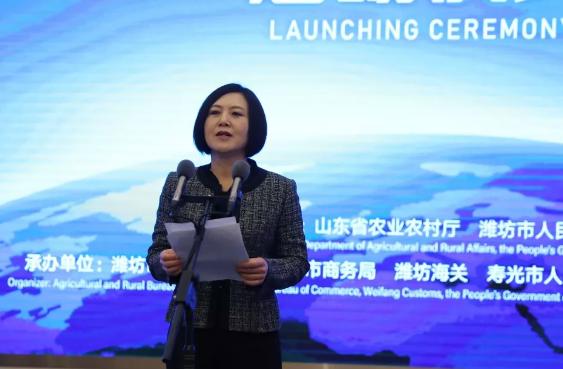 寿光菜篮子果蔬,寿光粤港澳大湾区蔬菜