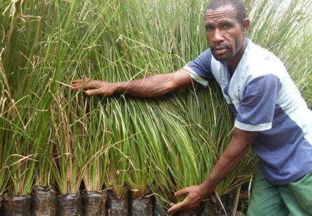 男人也需要美容保养,男士私部护理液有必要用吗