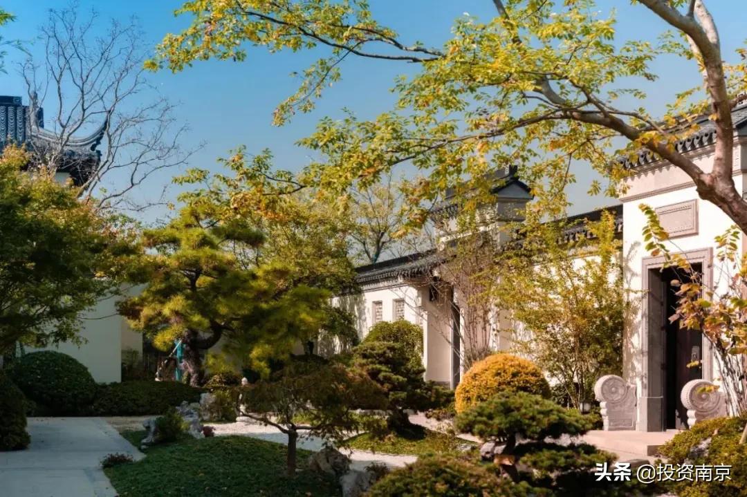 高淳城市发展方向,高淳新区发展