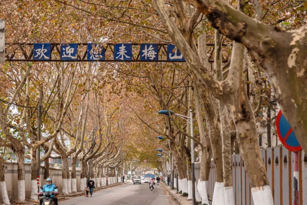 梅钢在盐城新建基地最新消息,梅钢还搬到盐城吗