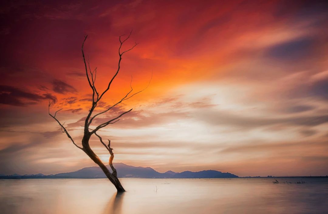 为什么我打印的图片不完整,为什么我照片打印不完全