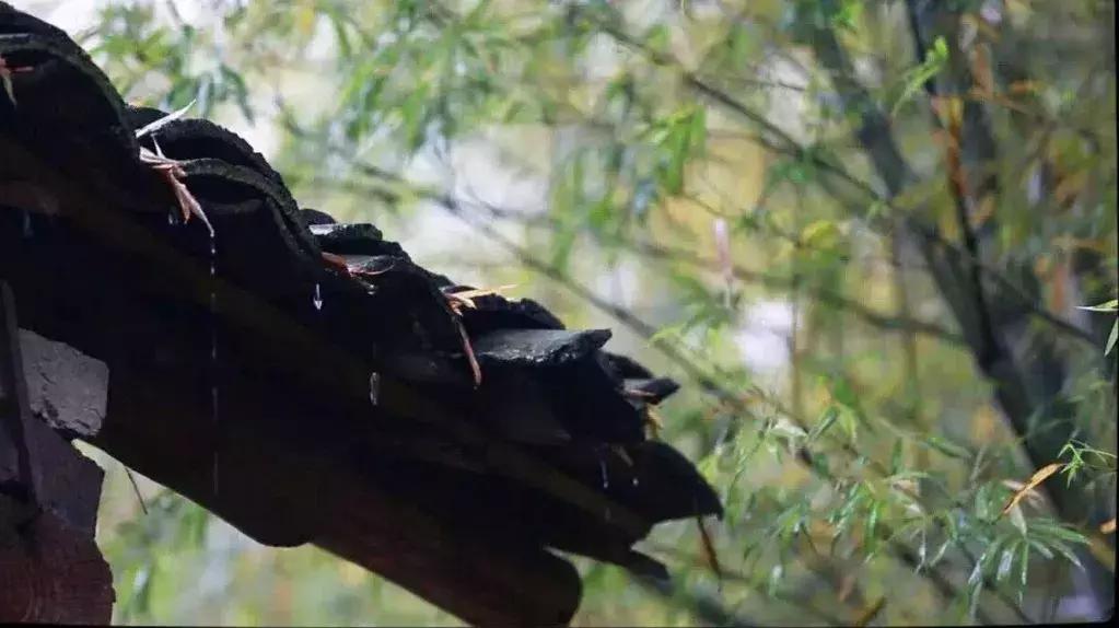 汽车之家市值为什么那么高,汽车之家恶意封杀怎么解决