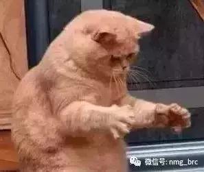 你知道内蒙古为啥不包邮吗,终于知道为什么不包邮了