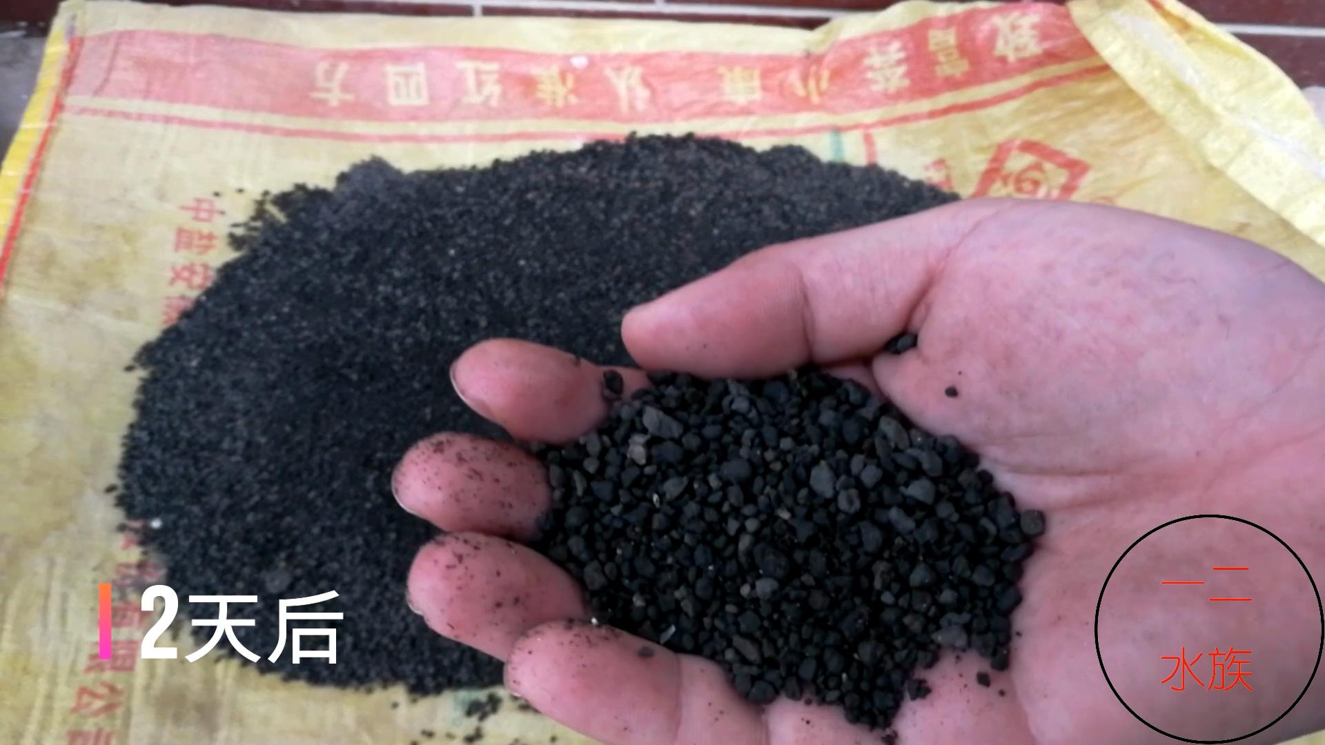 尼特利水草泥一年后能粉化吗,底砂过滤会加速水草泥粉化吗