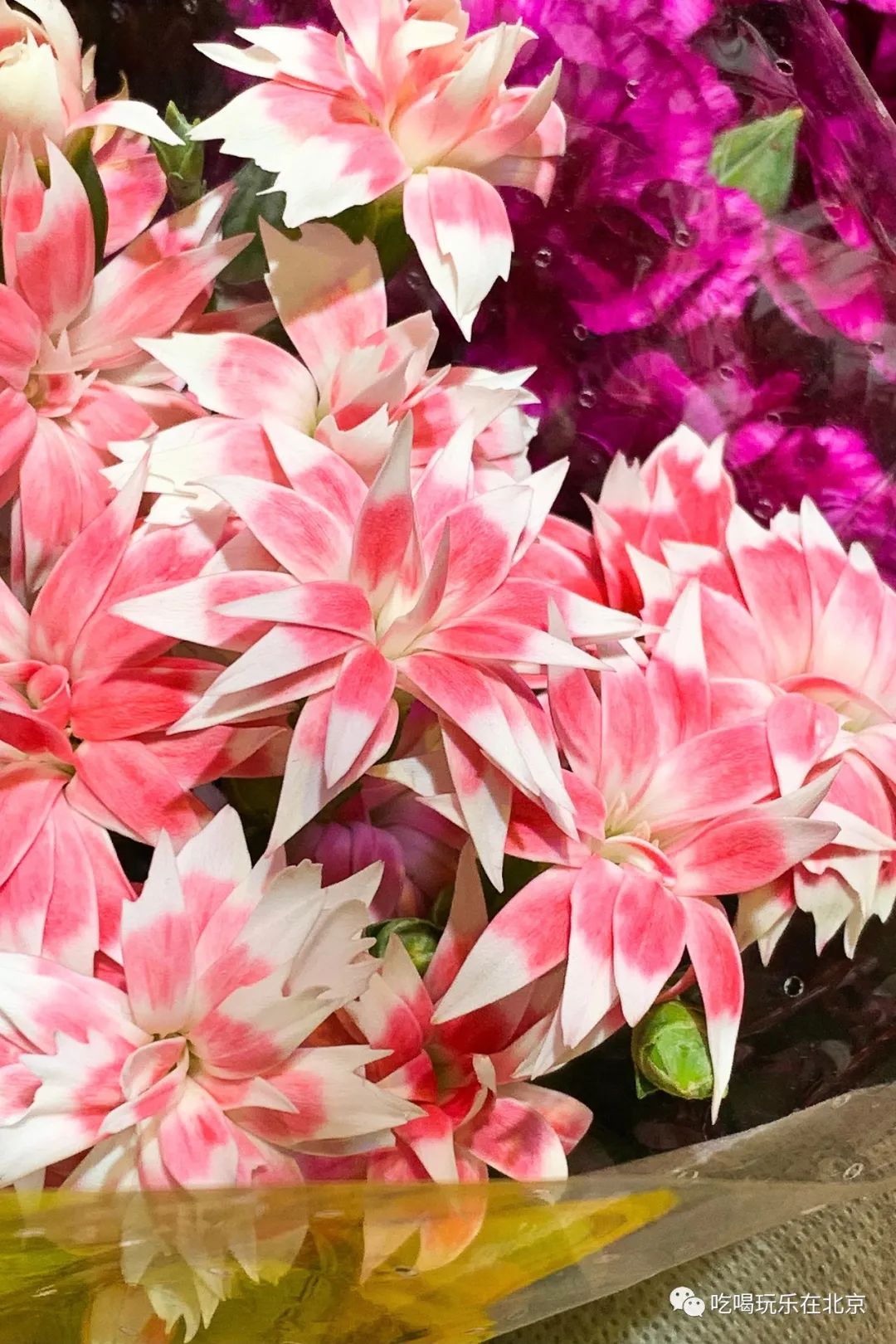 北京崇文区西花市大街,北京通州花市在哪里