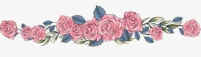 国外美妆2022,国外美妆产品排行榜第一名