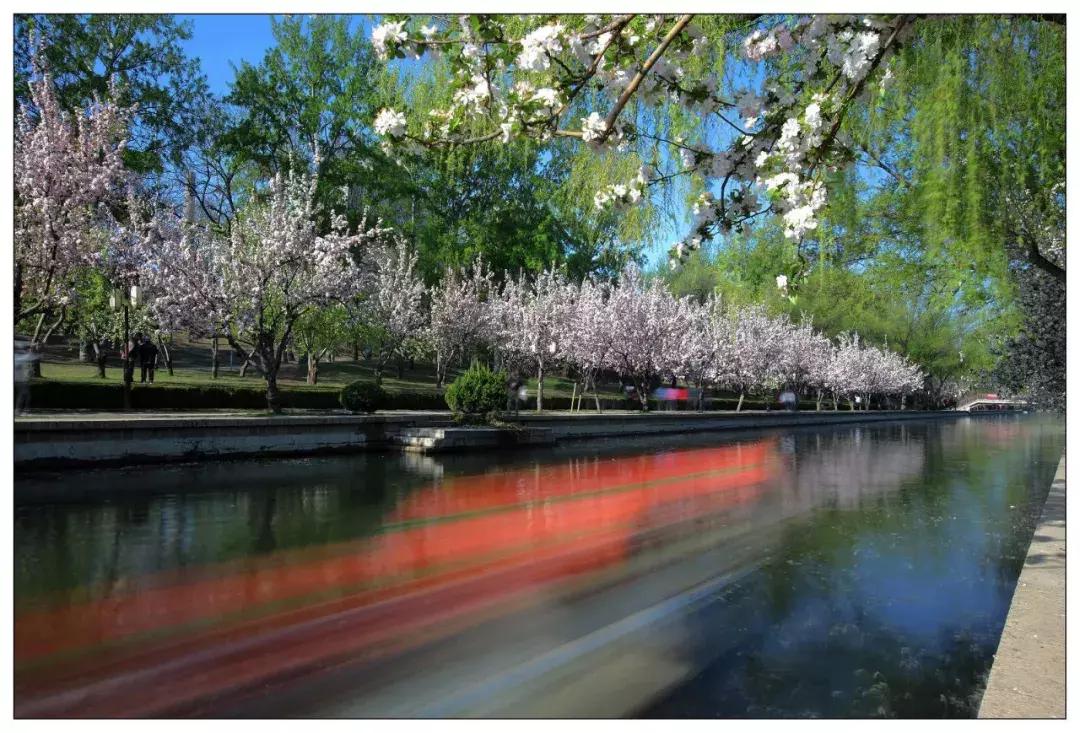 家住在北京朝阳区有什么好 (北京朝阳区哪个地方适合居住)