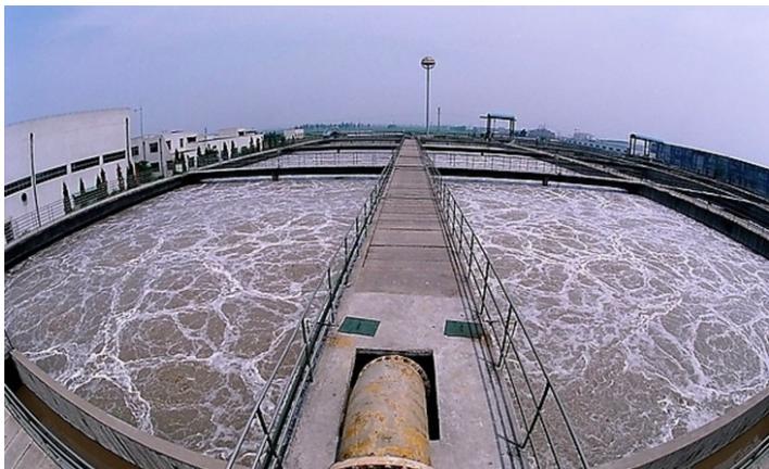 每天产生的六十五万吨粪便去哪了,中国人每年产生多少粪便